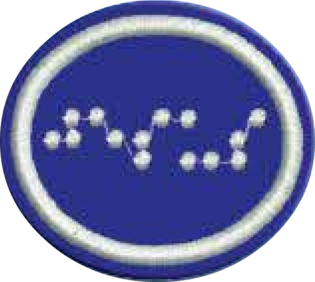 File:Braille (SAD) AY Honor.png