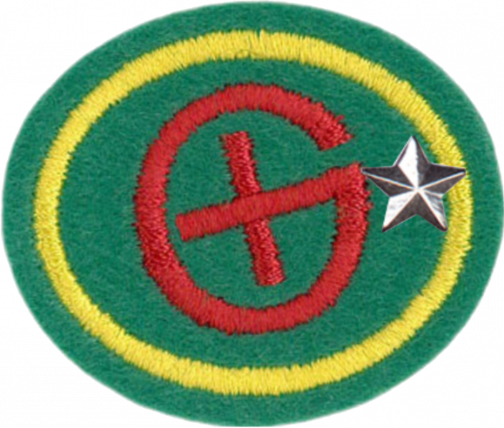 File:Geocaching Advanced AY Honor.png