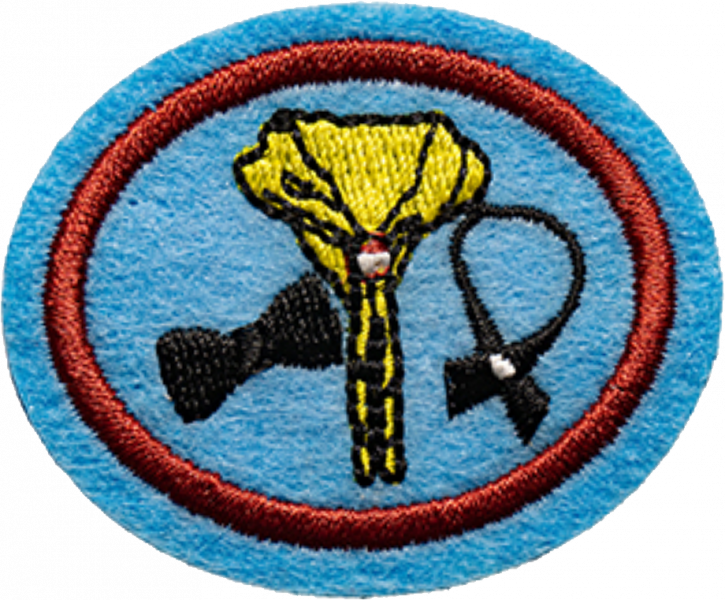File:Neckwear AY Honor.png