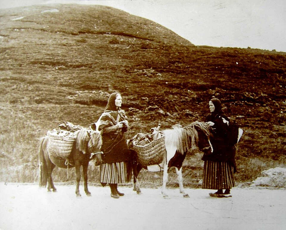File:Shetland ponies ca 1900.jpg