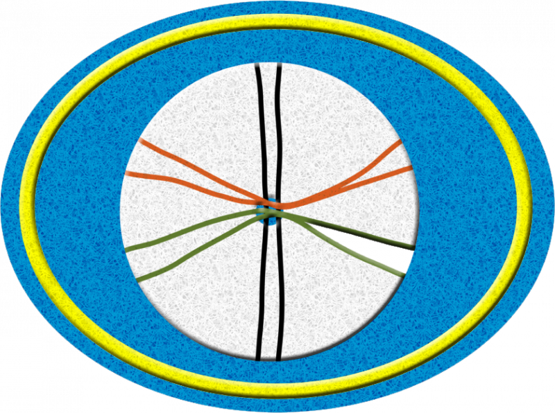 File:Kumihimo AY Honor.png