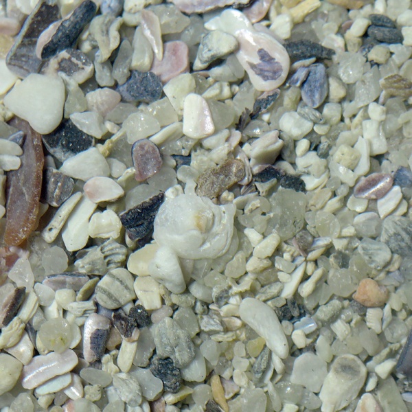 File:SeapointCapetown 2225.jpg