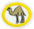 Camels AY Honor.png
