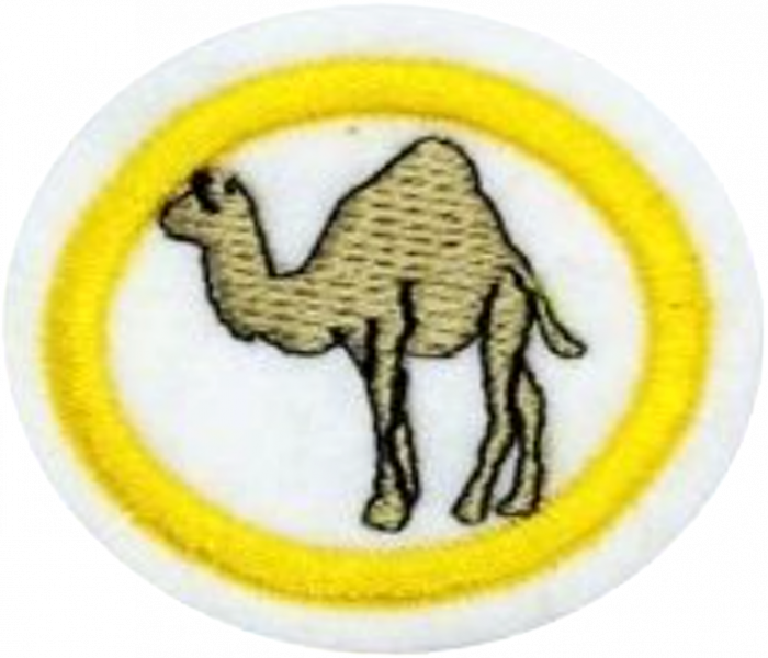 File:Camels AY Honor.png