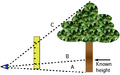 Thumbnail for version as of 01:09, 4 July 2007