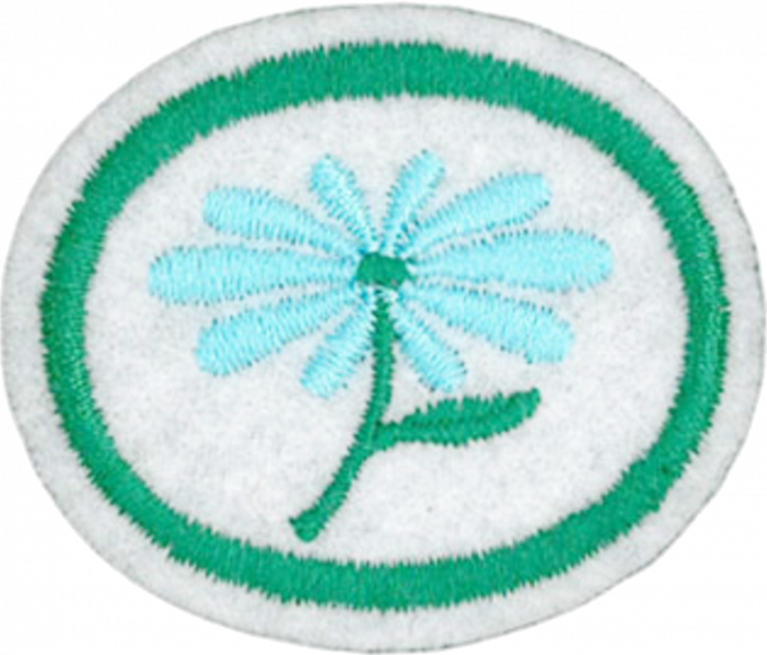 File:Flowers AY Honor.png