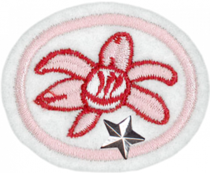 File:Orchids Advanced AY Honor.png