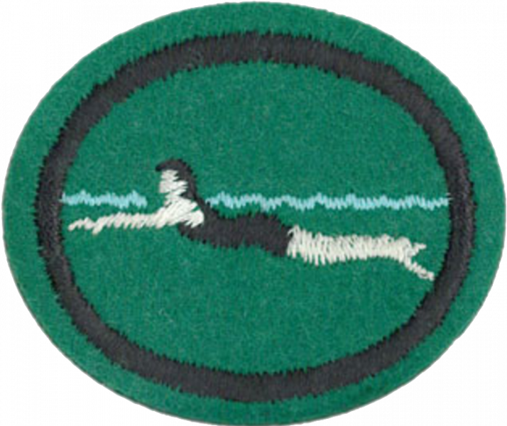 File:Swimming Beginners AY Honor.png