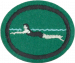 Swimming Beginners AY Honor.png