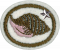 Thumbnail for version as of 14:22, 3 May 2016