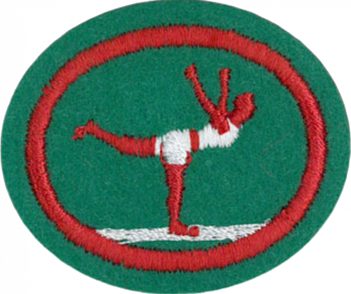 File:Physical Fitness AY Honor.png