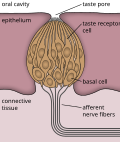 Thumbnail for version as of 17:10, 8 January 2014