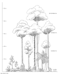 Thumbnail for version as of 15:25, 9 February 2007