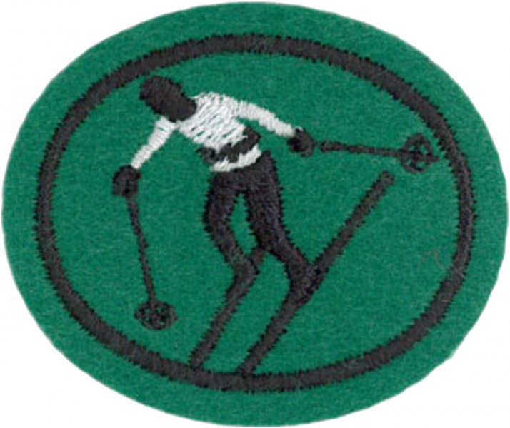 File:Skiing Downhill AY Honor.png