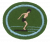 Springboard Diving AY Honor.png