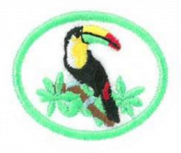 Rainforests AY Honor.png