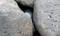 Thumbnail for version as of 02:41, 3 August 2015