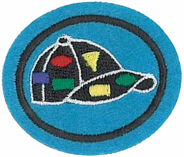 File:Pin Trading AY Honor.png