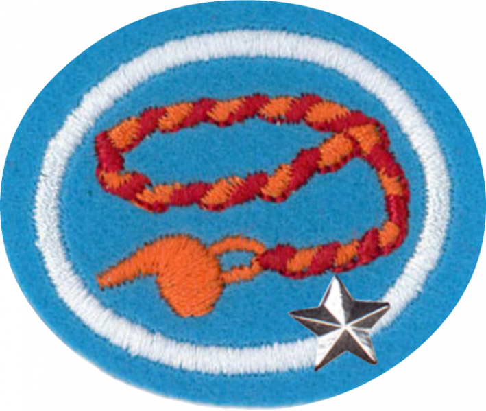 File:Braiding Advanced AY Honor.png