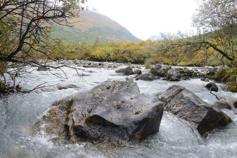 File:Small Glacial Erratics.jpg