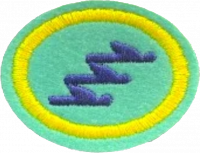 13 - The Remnant and its Mission AY Honor.png