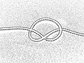 Thumbnail for version as of 05:08, 30 August 2009