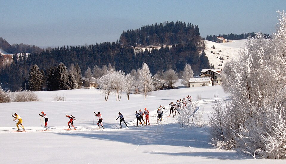 File:Cross-country skiing Schwedentritt.jpg