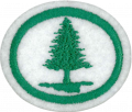 Thumbnail for version as of 23:12, 6 December 2016