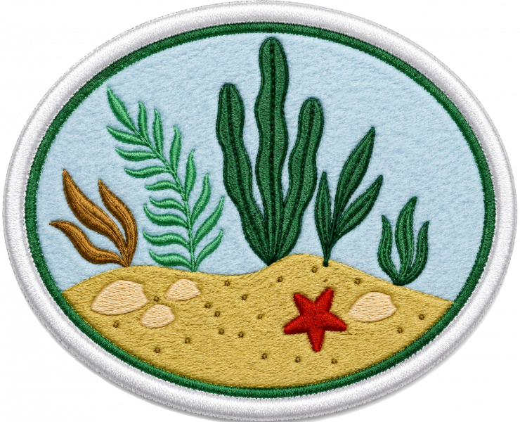 File:Seaweed AY Honor.png