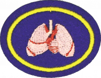 Cardiopulmonary System AY Honor.png