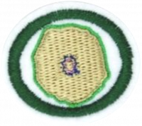 Cytology AY Honor.png