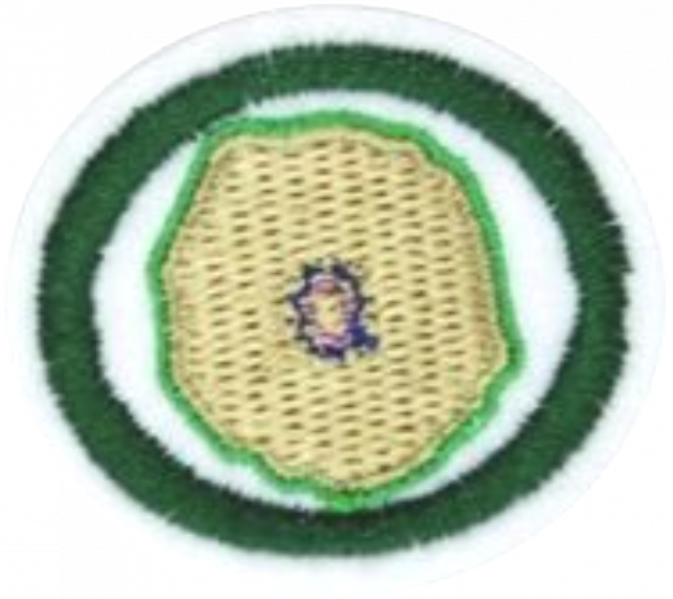 File:Cytology AY Honor.png