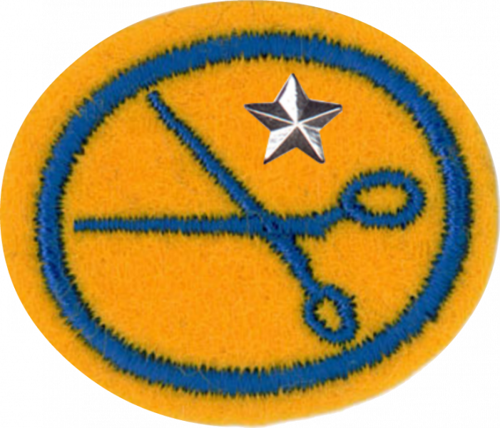 File:Dressmaking Advanced AY Honor.png