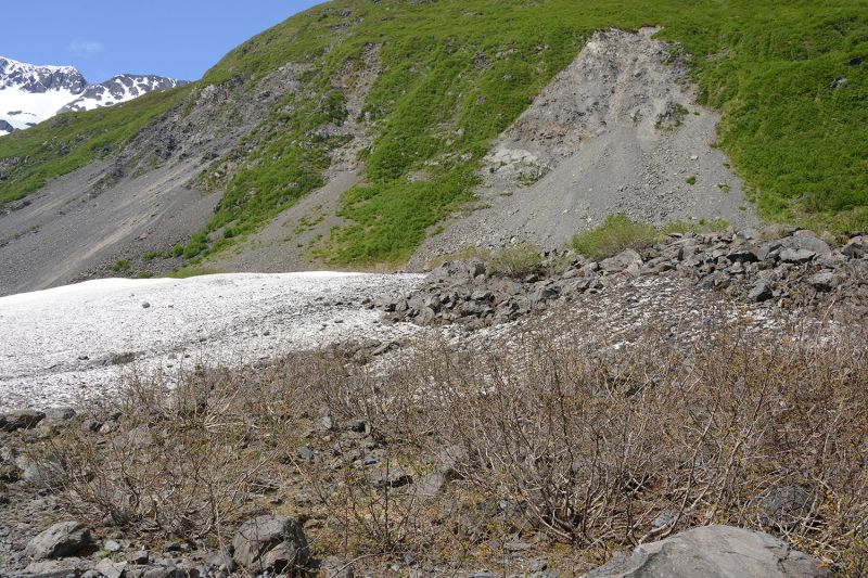 File:Trimline 9736.jpg