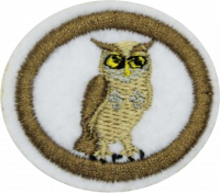 Nocturnal Animals AY Honor.png