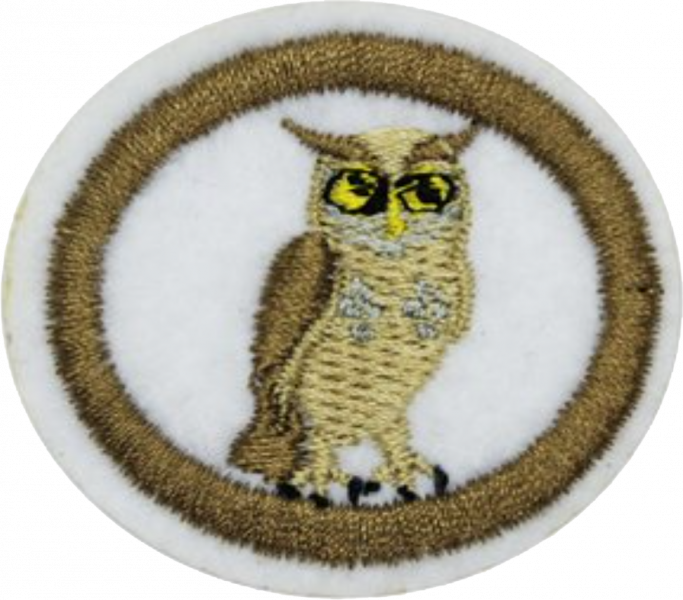 File:Nocturnal Animals AY Honor.png