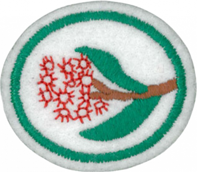 File:Eucalypts AY Honor.png