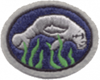 Manatees AY Honor.png