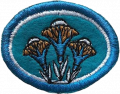 Thumbnail for version as of 01:20, 1 April 2024