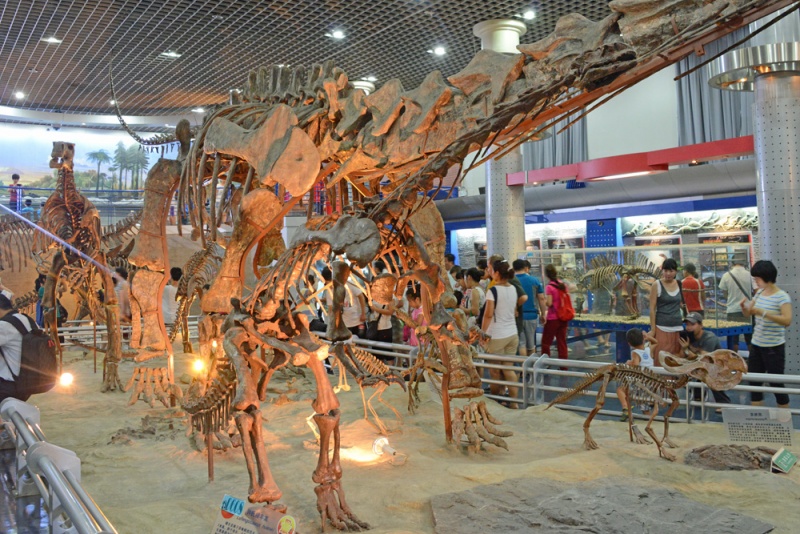 File:Lufengosaurus 8998 W.jpg