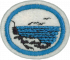 Marine Algae