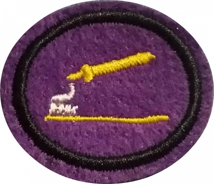 File:Oral Hygiene AY Honor.png