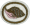 Shells AY Honor.png