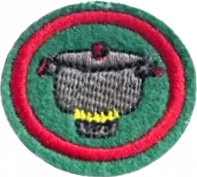 File:Cooking Safety AY Honor.png