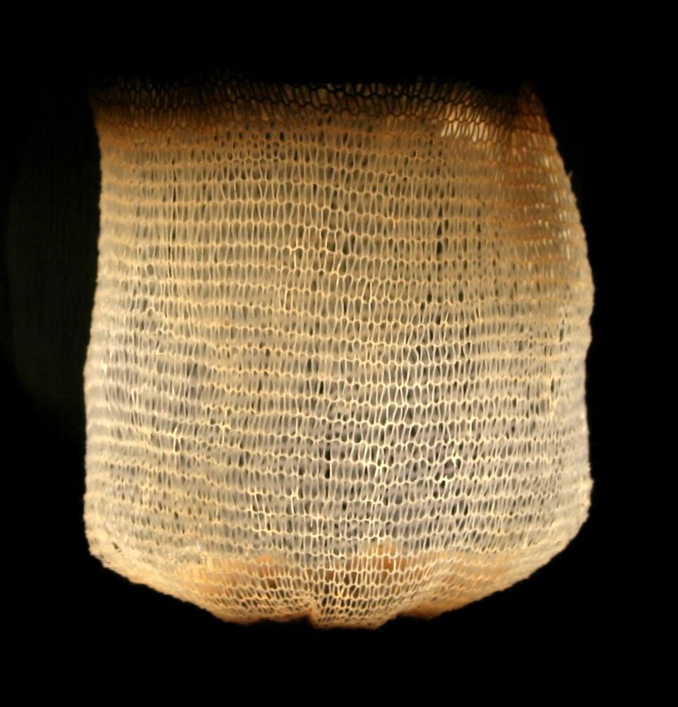 File:Glowing gas mantle.jpg