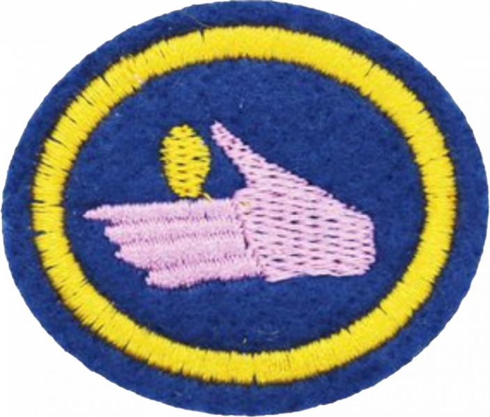 File:Stewardship AY Honor.png