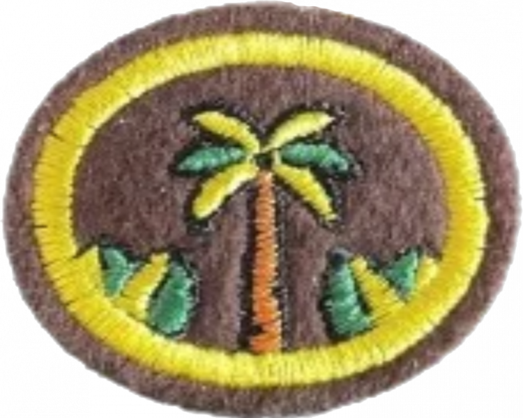 File:Landscaping AY Honor.png