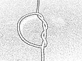 Thumbnail for version as of 05:07, 30 August 2009
