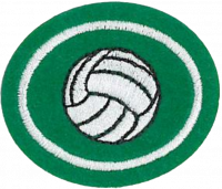 Volleyball AY Honor.png