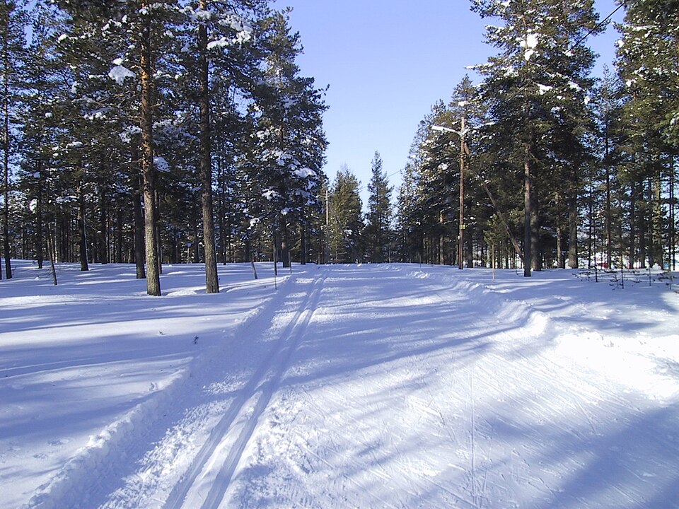 File:Ski trails.jpg